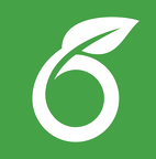 ologo square colour green bg